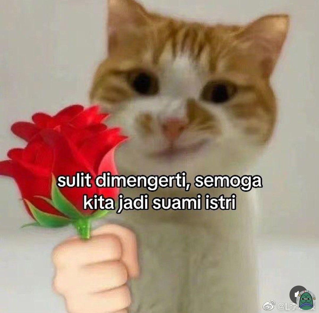 Oh masih adakah cinta yang abadi Menyatukan dua hati saling isi Daun pun menari alam bersaksi Seindah musim cherry 😙🍒🫶