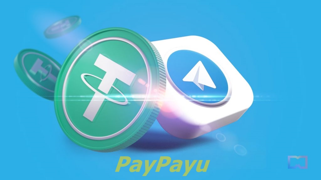 🔥 Tomorrow we'll have a good news about PayPayu 💸 #payucoin #payu $payu #paypayu