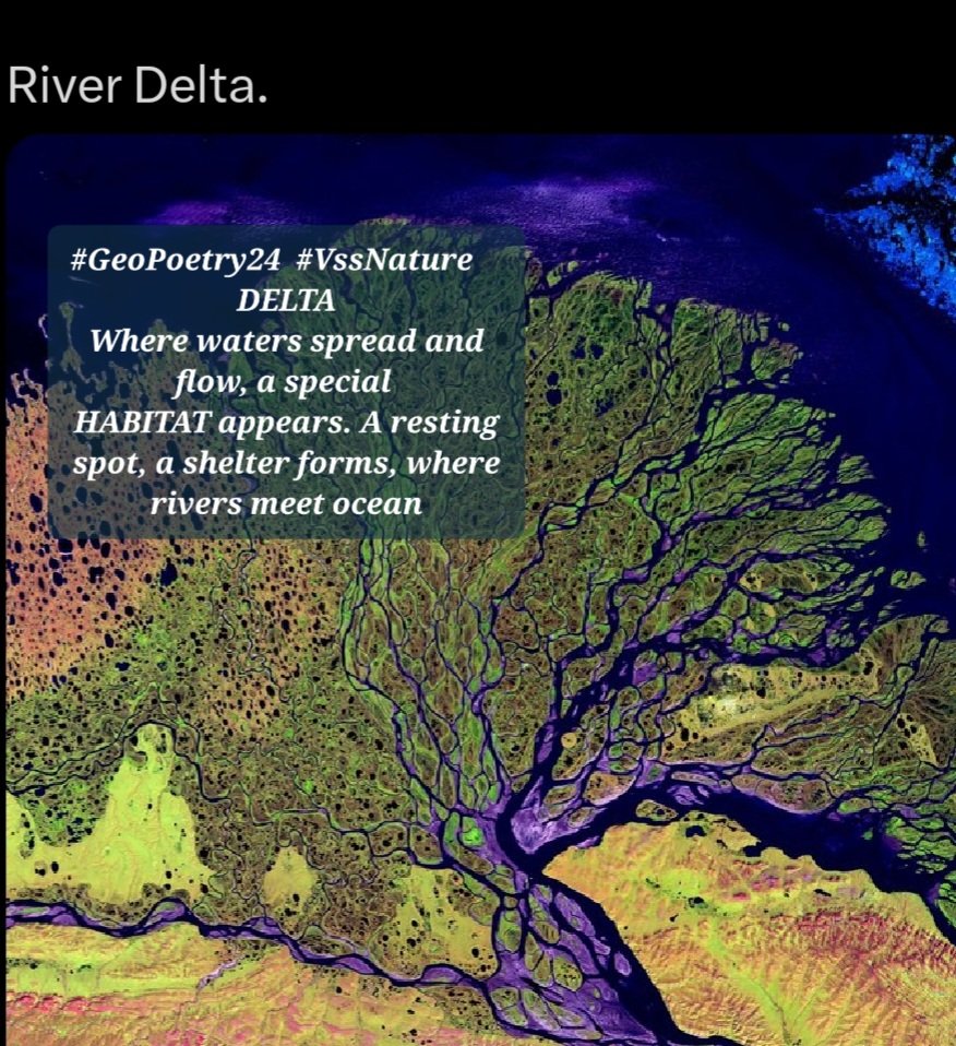 #GeoPoetry24 #VssNature    
DELTA
Where waters spread and flow, a special 
HABITAT appears. A resting spot, a shelter forms, where rivers meet ocean