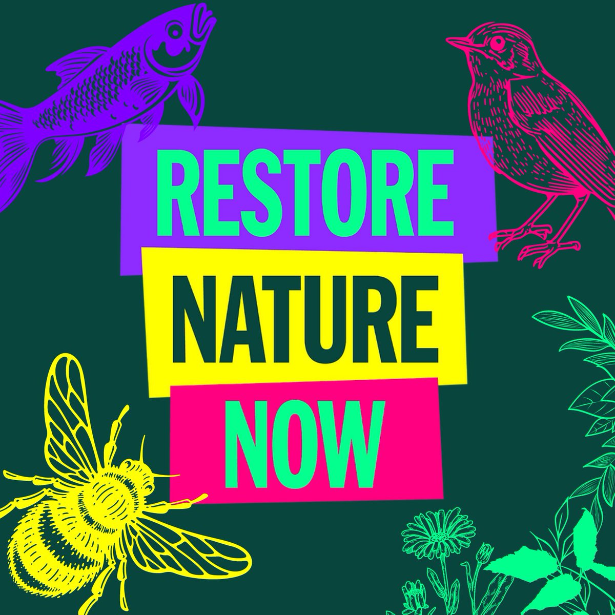 HiveIT_uk's tweet photo. Join us on 22nd June to march for the Restore Nature Now campaign. We demand political action to restore wildlife and combat climate change. A couple of us will be volunteering as stewards to help during the march. We hope to see you there! #RestoreNatureNow @RNNMarch https://t.co/MOpxEA4Dj8
