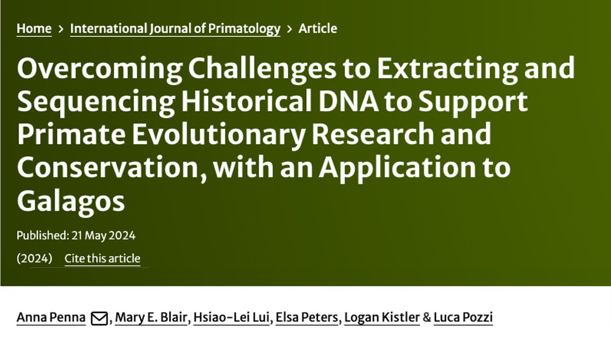 📢 Nocturnal primates enter the museomics era! Excited to share my latest research paper, with co-authors <a href="/marye_blair/">Mary E. Blair</a>, Hsiao-Lei Lui, <a href="/epeters_Rdch/">Elsa Peters</a>, @LoganKistler and <a href="/PozziLab/">Luca Pozzi (he/him) 🏳️‍🌈</a>! Read it here: rdcu.be/dJmjm 🧵 [1/8]