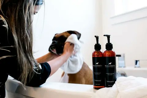 Keep your pets clean and comfortable with our range of pet shampoos. Choose from a variety of scents and formulations to suit your pet's needs. 

Get More Details: tinyurl.com/2hvz6zyy

#PetShampoo #GroomingProducts #HappyPets