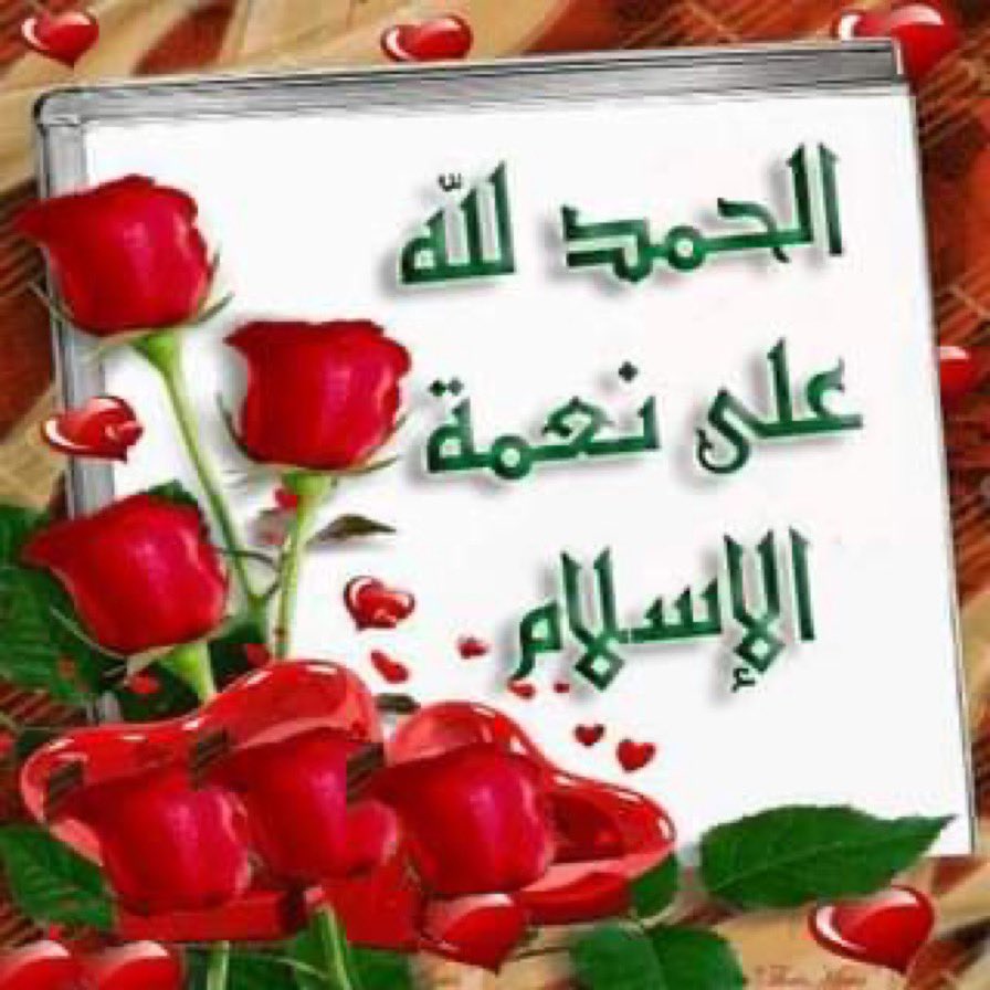 🤍~•o•حامد•o•~ tweet media