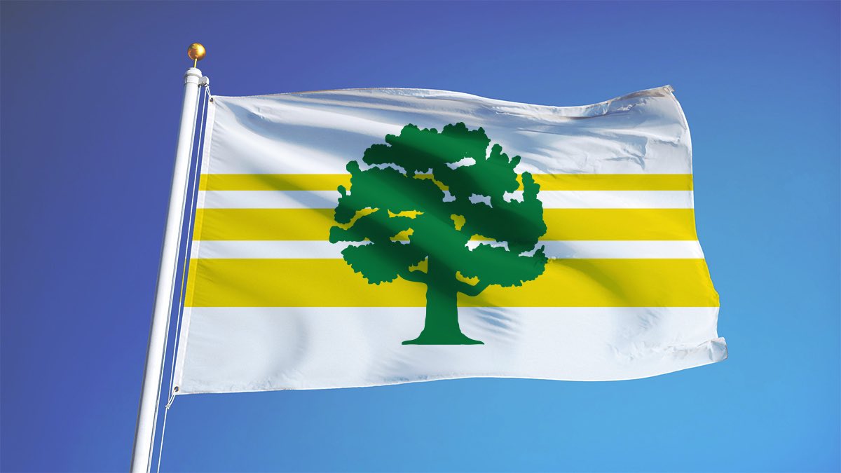 Here’s our choice from shortlist of new #cityflag proposals for City of Ann Arbor, Michigan USA - Ann it’s an oak tree for sure..! 

a2gov.org/departments/pu…