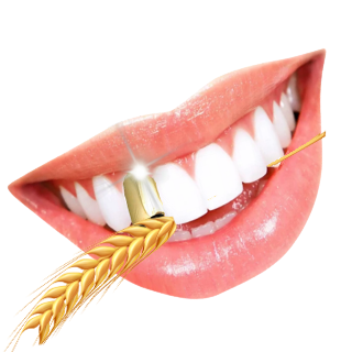 <a href="/HappySolCabal/">$HAPPY Sol Cabal</a> $happy