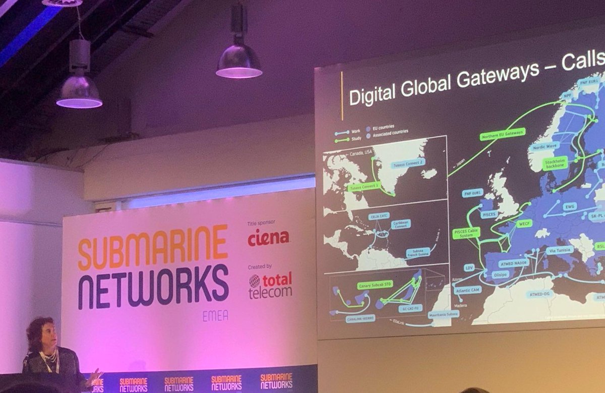 Marina Zanchi tweet media