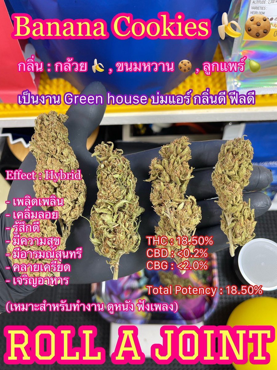 Bobby girl 🦕☄️🪐🥦 tweet media