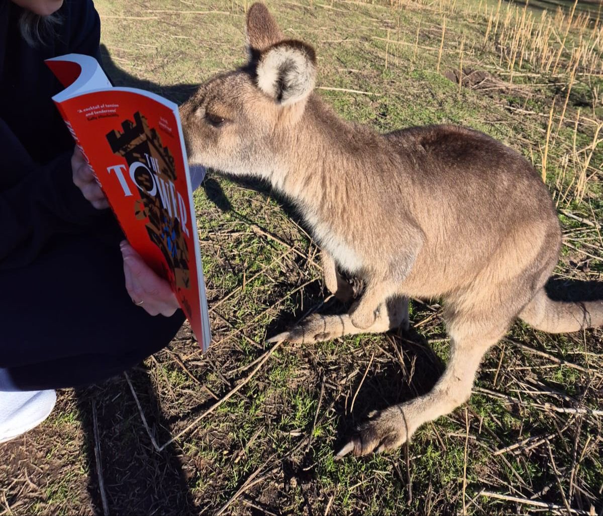 THE TOWER takes Tasmania!🦘🏰

I love it when friends send me sightings of the book out ‘in the wild’, but I think my friend Liv takes the prize this time 🧡

@HutchHeinemann #TheTower