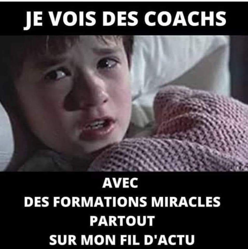 🦋 Humour 

"JE VOIS DES COACHS 😱
AVEC DES FORMATIONS MIRACLES 😱 PARTOUT SUR MON FIL D'ACTU 😱"