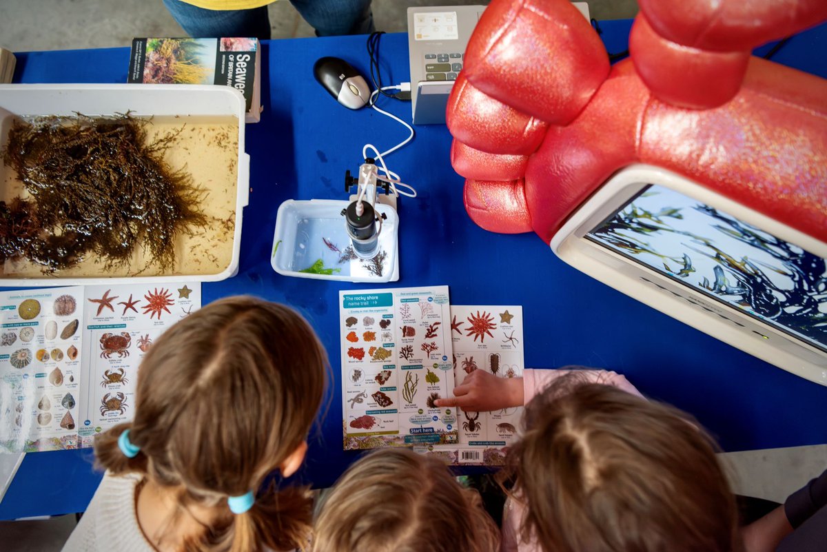 National Maritime Museum Cornwall tweet media