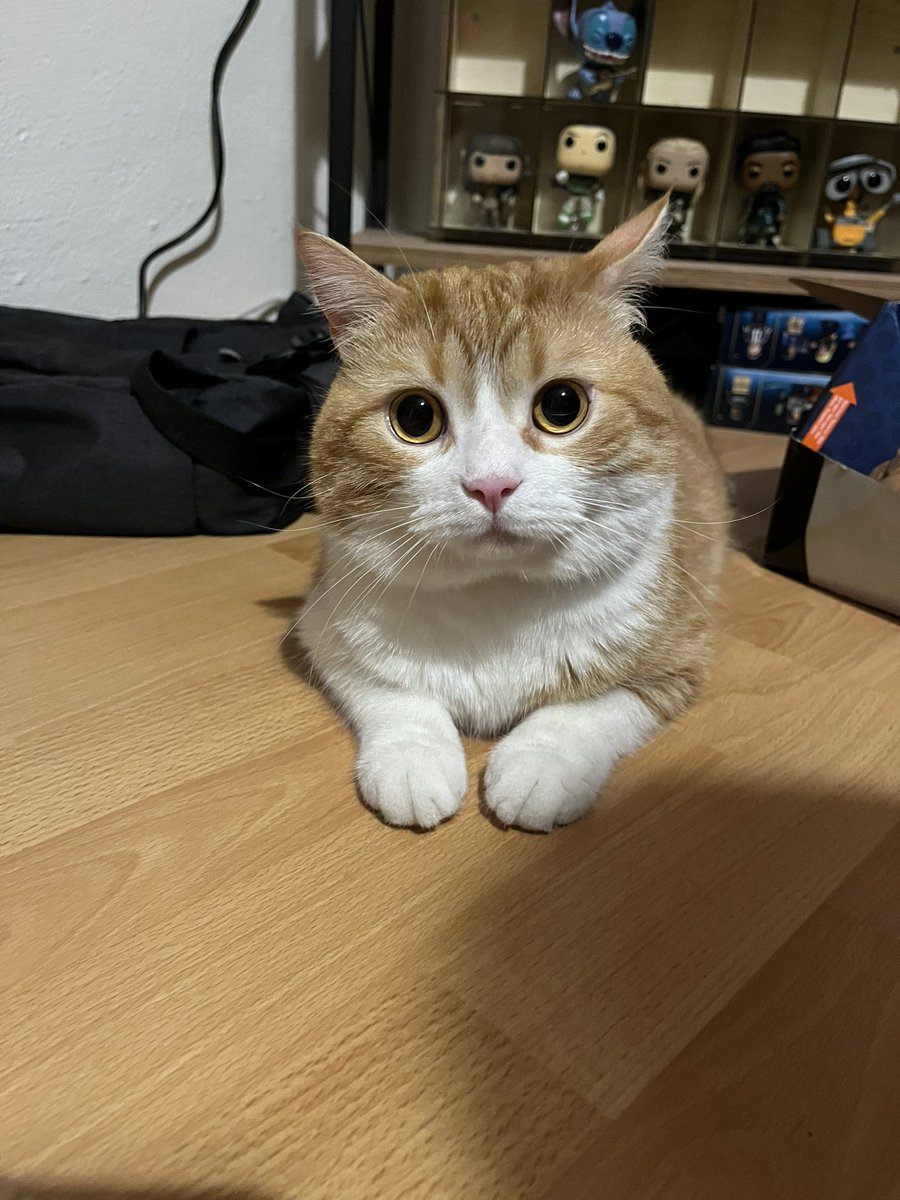 Pikaçu kullanım kılavuzu by <a href="/berkozdemiiir/">Berk Özdemir</a>
 ‘… ⁠⁠Bazen sizin omuz hizanıza gelip göz teması kurarsa veya yakınlaşırsa hemen uzaklaşın ya da onu ittirin. Göz temasından da kaçının. Büyük ihtimalle size vuracaktır…’