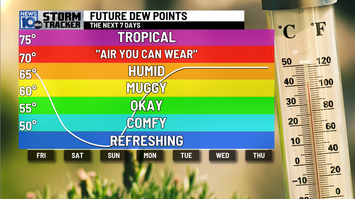 Steve Caporizzo tweet media