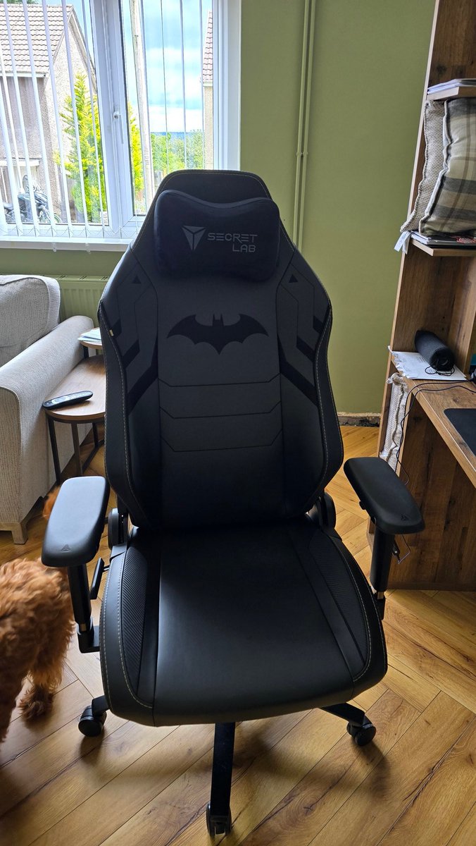 nickprice83's tweet image. Extendio warrentio @secretlabchairs
#secretlabchair
