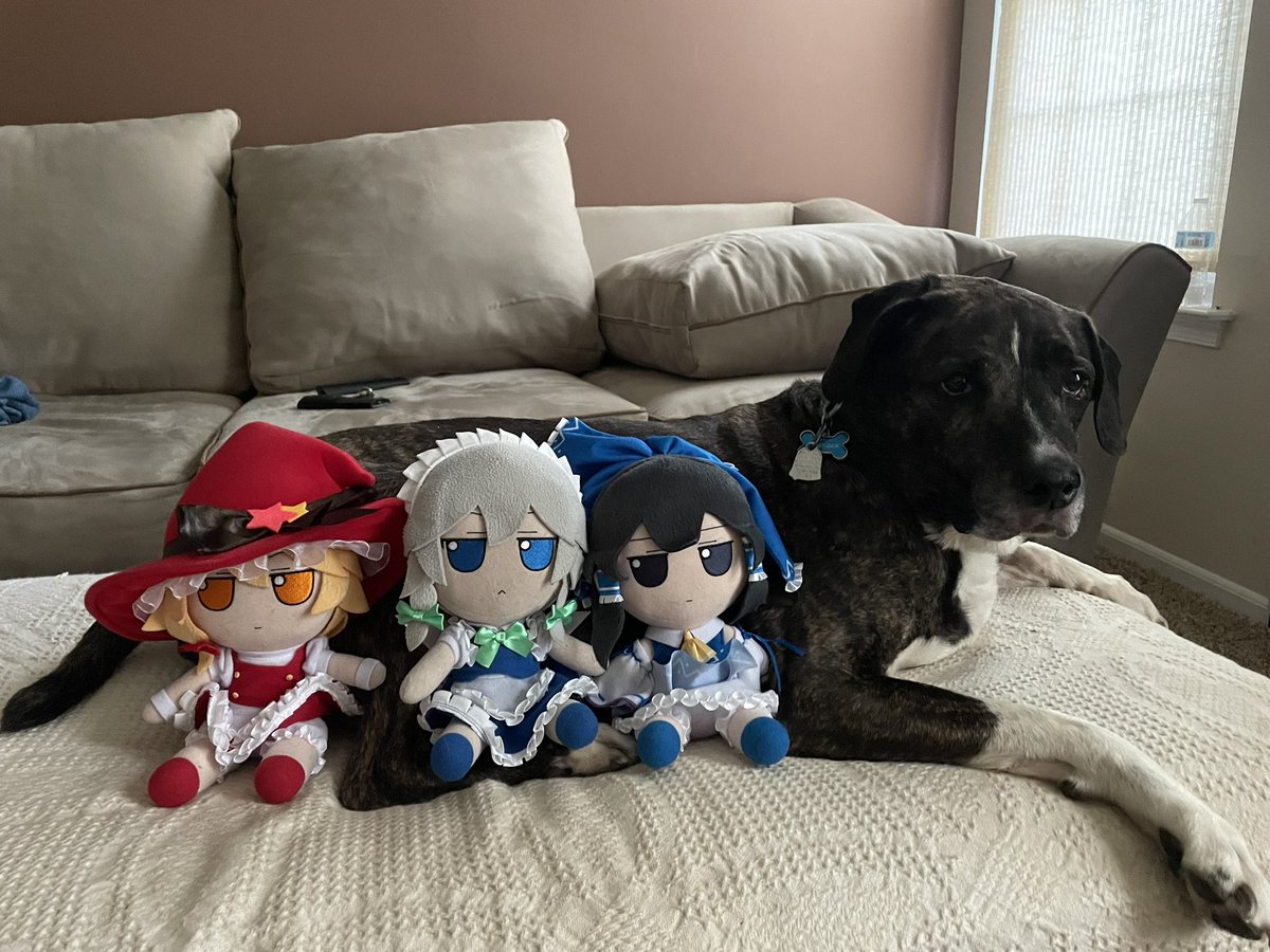 FumoAdventures's tweet photo. Today we had to say goodbye to one of our family members.

Blackjack was a good dog. He had been with me through thick and thin, and was always there for me. He even treated the Fumos very well, never chewing on them.

He’s with my other dogs now in Heaven.

We’ll miss you… https://t.co/d8IImCXL7E