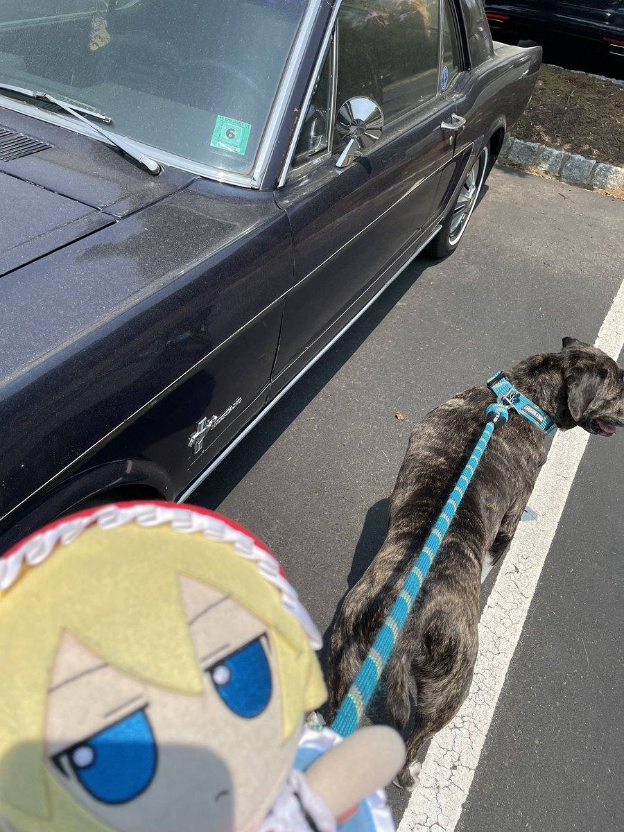 FumoAdventures's tweet photo. Today we had to say goodbye to one of our family members.

Blackjack was a good dog. He had been with me through thick and thin, and was always there for me. He even treated the Fumos very well, never chewing on them.

He’s with my other dogs now in Heaven.

We’ll miss you… https://t.co/d8IImCXL7E
