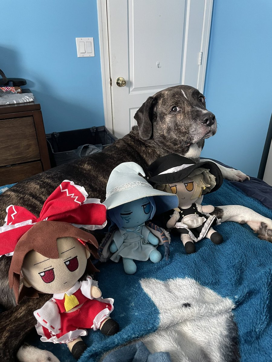 FumoAdventures's tweet photo. Today we had to say goodbye to one of our family members.

Blackjack was a good dog. He had been with me through thick and thin, and was always there for me. He even treated the Fumos very well, never chewing on them.

He’s with my other dogs now in Heaven.

We’ll miss you… https://t.co/d8IImCXL7E