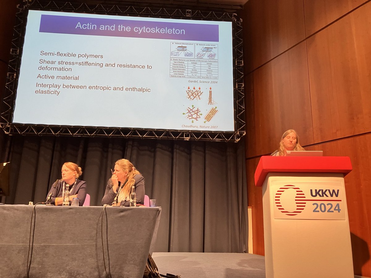 BrixSilke's tweet photo. Lovely last basic science session #UKKW2024 chaired by ⁦@CecileBenezech + #UKKA Stewart-Cameron Lecturer ⁦@dr_denby⁩⁩ with brilliant Maria Prendecki ⁦@ICL_Vasculitis⁩, ⁦@stephenmcadoo⁩ presenting stiffened neutrophils in active #ANCA #Vasculitis 👏👏👏📣 https://t.co/7Md6MbI6aS