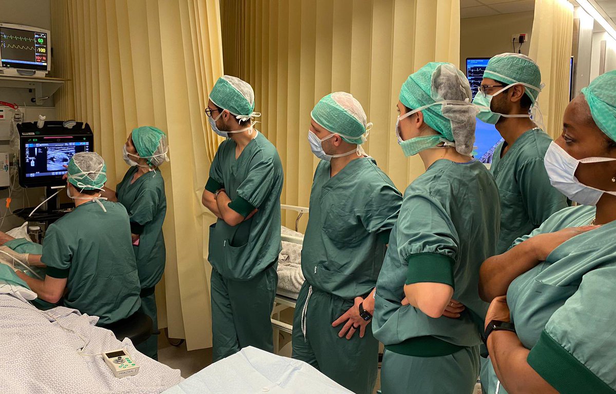 AmandaKumarMD's tweet image. It’s a big day for #DukeRAP @Duke_Anesthesia! Current fellows are having a blast in Belgium thanks to the incredible hospitality of @Steve_Coppens @DrBluesNYC @NYSORA. And back stateside, we are thrilled to match a brilliant class of 2025-26. Congratulations to all!