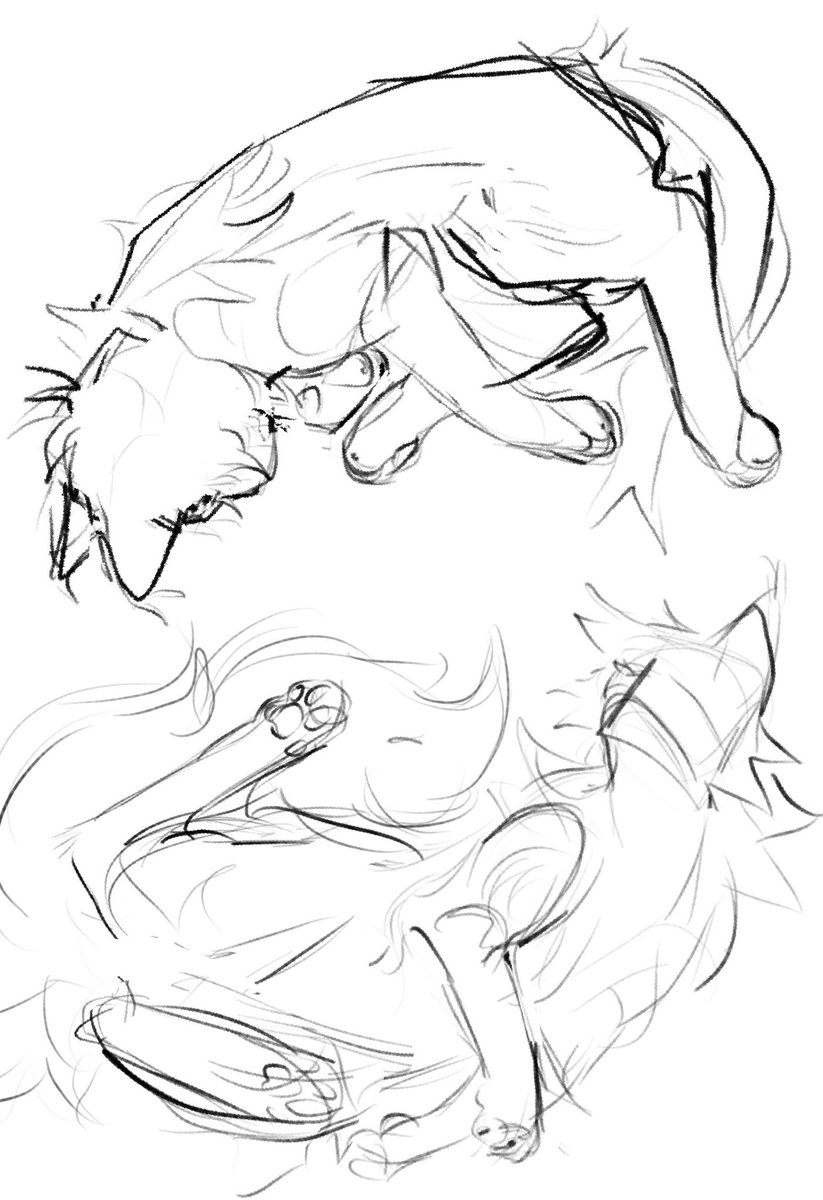 pineapplebech's tweet image. Here’s a sketch of me and my boyfriends ocs that I’m probs never gonna finish #warriorcatsart #oc