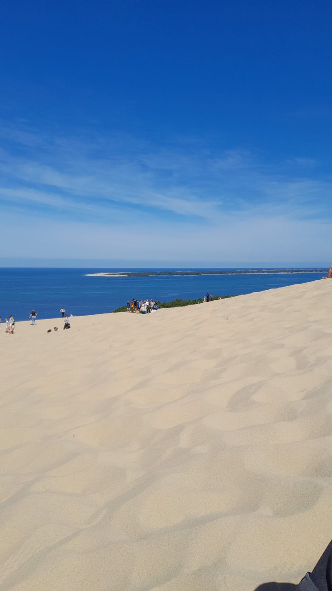 ConstantinEric3's tweet photo. Journées nationales Forêt d'exception et réseau paysagère @ONF_Officiel en FD La Teste 🙏pour ces échanges fructueux  avec nos partenaires et @laduneduPilat @littoral_cdl @EspritBassin @PrefAquitaine33 https://t.co/awOUzuleZu