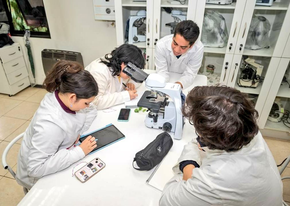 AgroambienteU's tweet photo. #EnClase 👉Laboratorio @AgroambienteU Nuestros estudiantes de 1er año de #Agronomía #UFRO en la asignatura de Biología General, de la clase de #Botánica impartida por el profesor #JuanCarlosHermosilla ¡Con ganas de innovar aprendemos!
#SomosAgroambiente #PorUnFuturoMásSustentable https://t.co/jPah1CKydZ