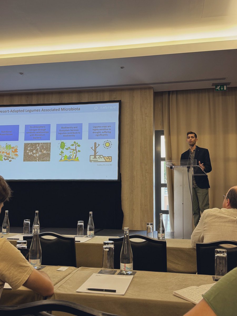 JoaoBarnabe5's tweet photo. Had the opportunity to present on seed microbiota from desert-adapted legumes at @SymbNET in Olhão! Thanks to @itqbnova, @iplantmicro, and @greenit_bio4sus for the support. Our research highlights a variety of PGPB as promising candidates for aiding plants. 🌱 https://t.co/KXMLAUBkTU