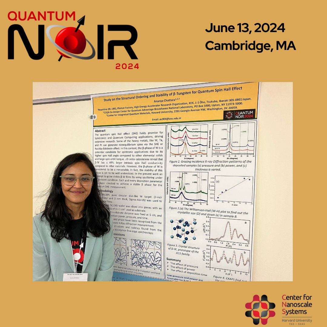 Quantum Noir tweet media