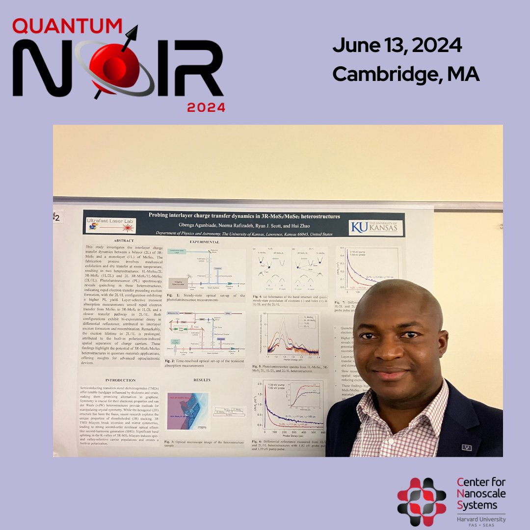 Quantum Noir tweet media