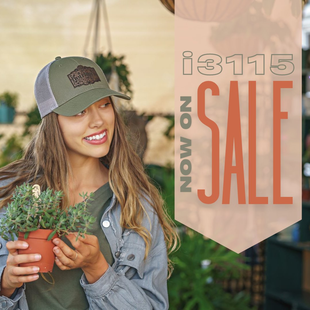 Cap America tweet media