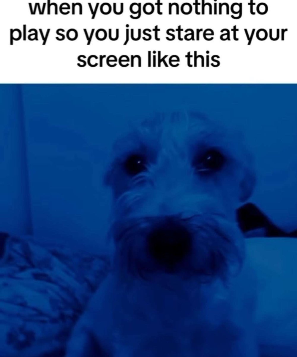 Team Meteor tweet media