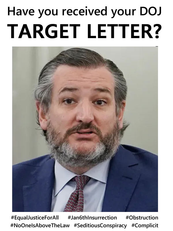 GreyHawk121's tweet photo. Tell me, @tedcruz  - have you received your @TheJusticeDept #TargetLetter yet for your role in the #SeditiousConspiracy &amp; #Incitement on #January6th? https://t.co/v3BLSPPiiI