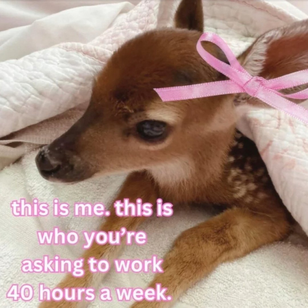 Crunschy (@crunschster) on Twitter photo 