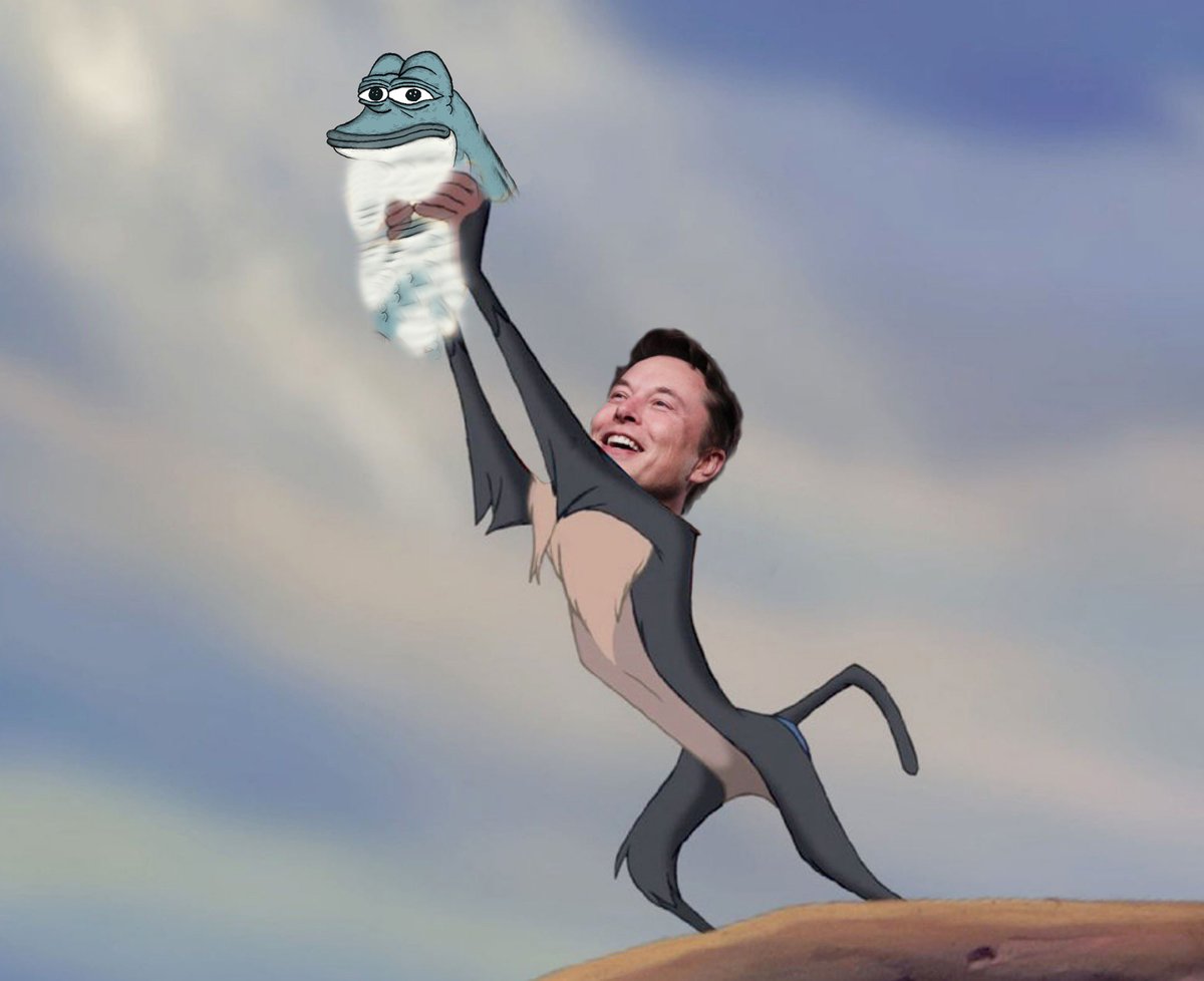 FlipeTheDolphin's tweet image. CA: CYQ8Rry5xQ3gYcu9cSDVavdWCdC959PxqQmNqrYzpump

Wow that was fast... who else wants to join Flipe? 🐬🐬🐬