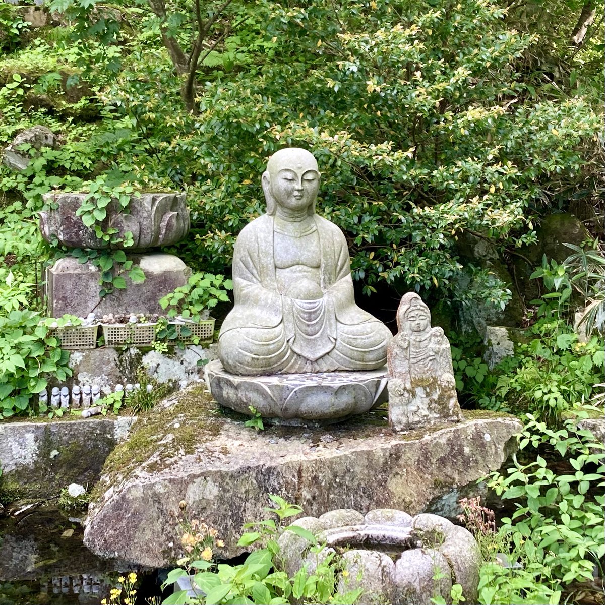 memory21002100's tweet image. 大山寺　鳥取県大山町

大山の中腹にある由緒あるお寺
新緑溢れる中、清々しく
お参りさせていただきました

参道には足湯が✨(写真3枚目)
雄大な #大山 を眺めながら…♨️♨️♨️

あぁ…… 癒される ………… はず。
(入っていないので憶測です🙇‍♂️)

#霊峰 #寺社巡り