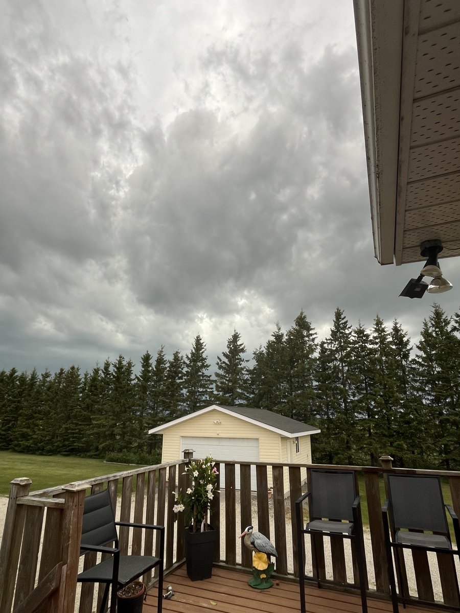 BigTNorthAg's tweet photo. Foreboding sky.
#PassingShower @TheTugboat99 @Jason_MacCuaig @thewheatteam https://t.co/DooJj26iJ4