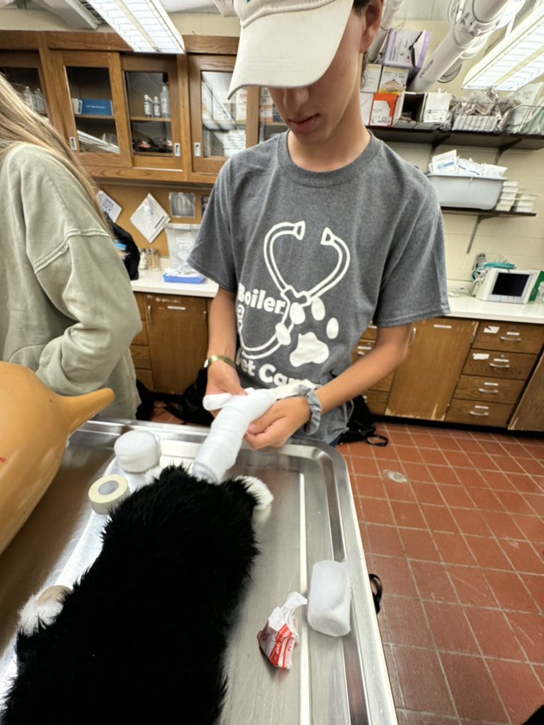 BoilerVetCamp's tweet photo. #TeamCash💰 killing the bandage exercise!

#lifeatpurdue #boilervetcamp #boilerup #pucvm https://t.co/inwcecFtam