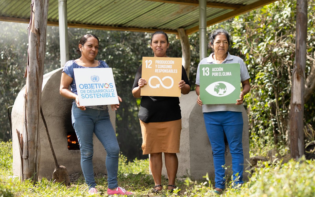 ONU Desarrollo tweet media