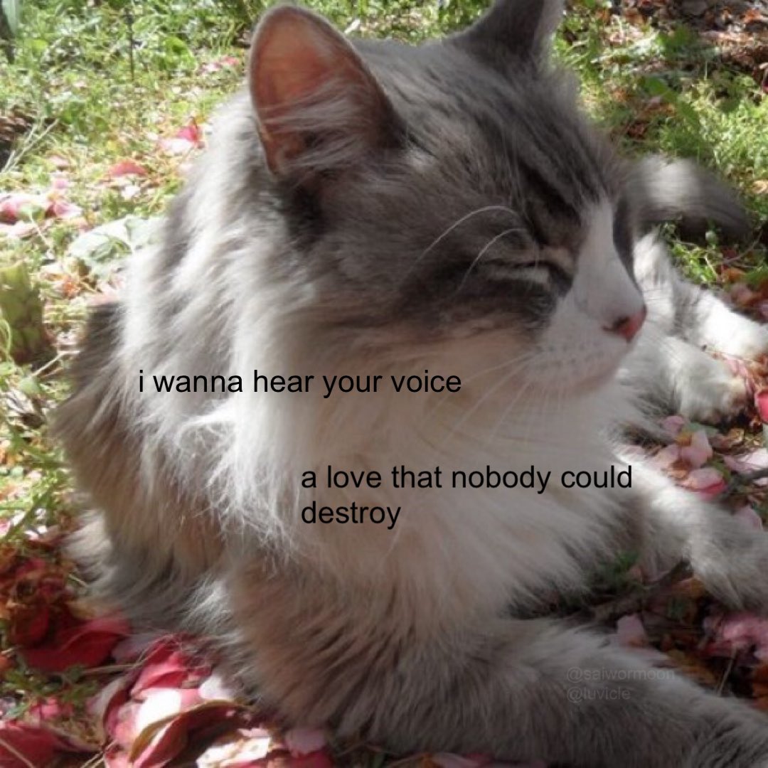 luvicle (@saiwormoon) on Twitter photo 