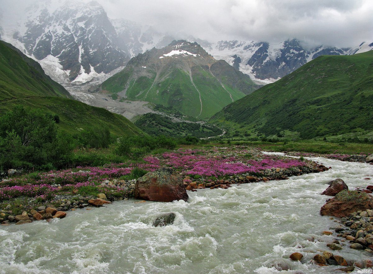 recovered_file's tweet image. 