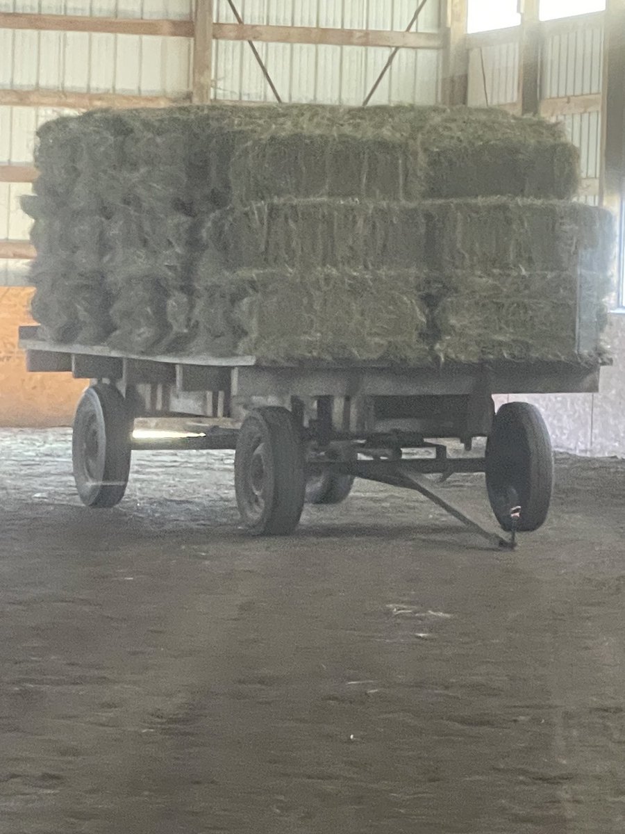 Why does this wagon of hay make me so happy?  It came from my farm.  Baled today.  Fresh hay with very little weeds.  I wasn’t able to help this year, but I guarantee I’ll be back next year.  My back is healing very well and I’m walking albeit with a cane sometimes.