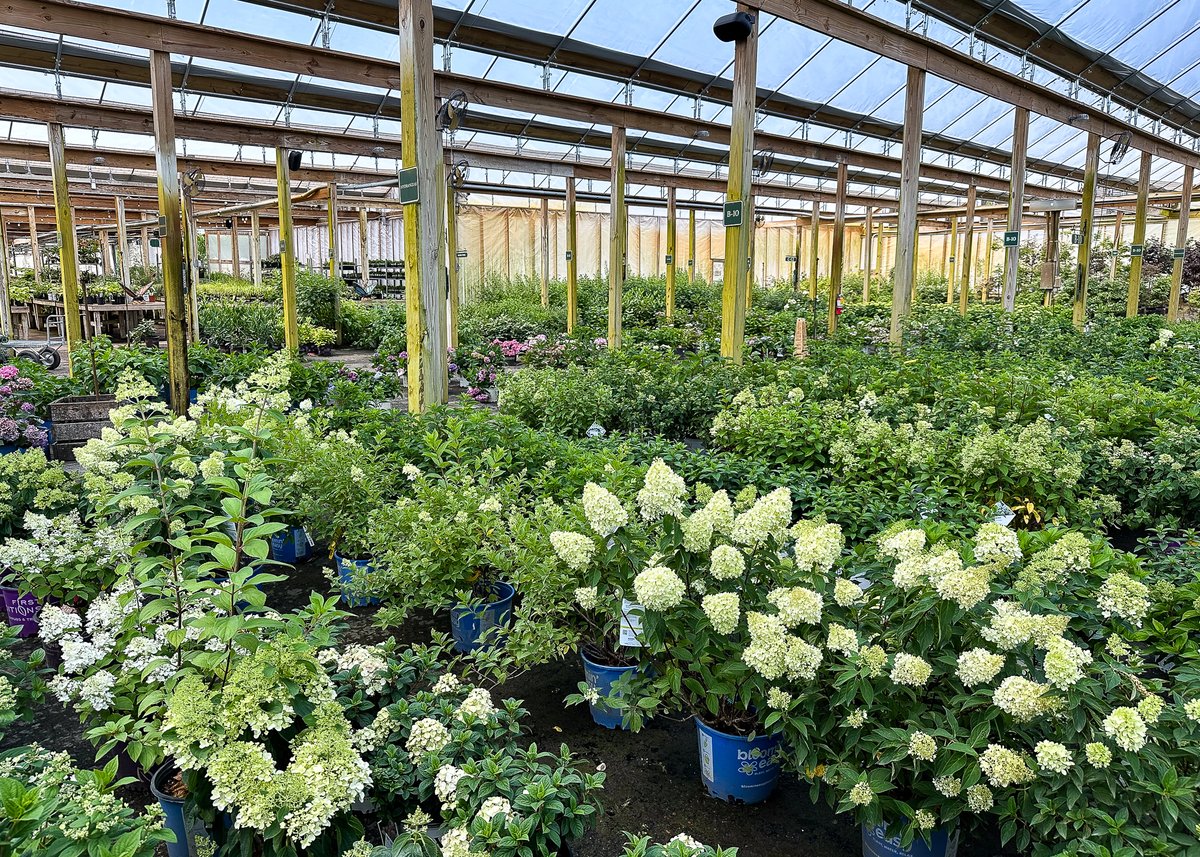 Bates Nursery tweet media