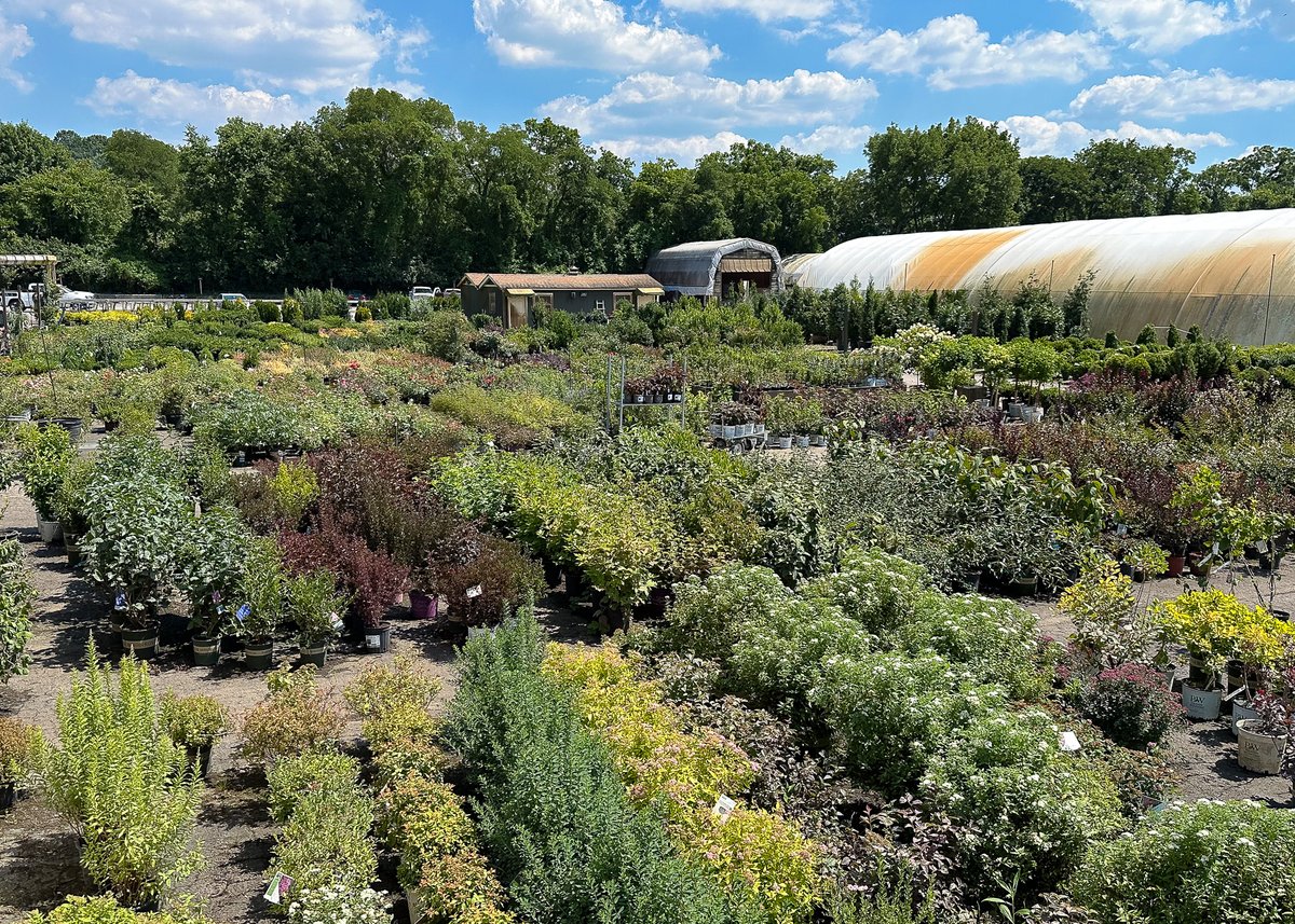 Bates Nursery tweet media