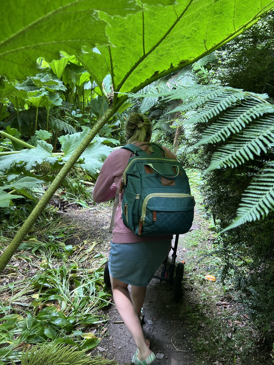 Koru Kayaking tweet media