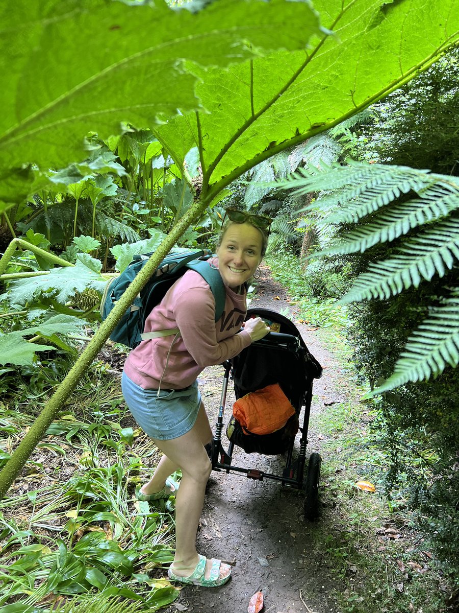 Koru Kayaking tweet media