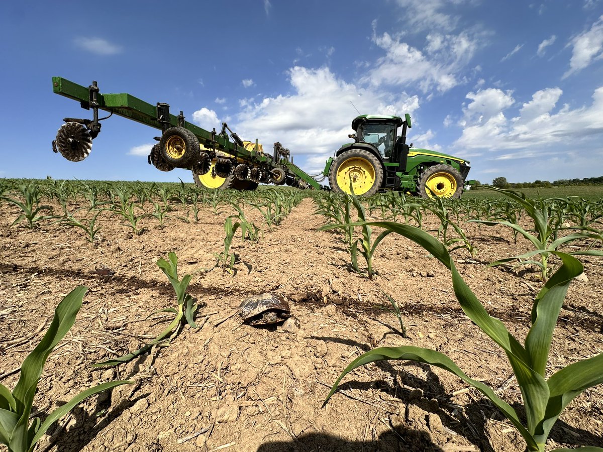 TomFarms's tweet photo. #TodayAtTomFarms
#SideDressing continues along with turtle ๐ข sightings.
#TomFarms #Turtles #Farmers #Nitrogen #Grow24 #Dekalb #BayerCropScience #TurtleCrossing
PC/Farmer: @kinghornchris https://t.co/fOwBNjn8tx
