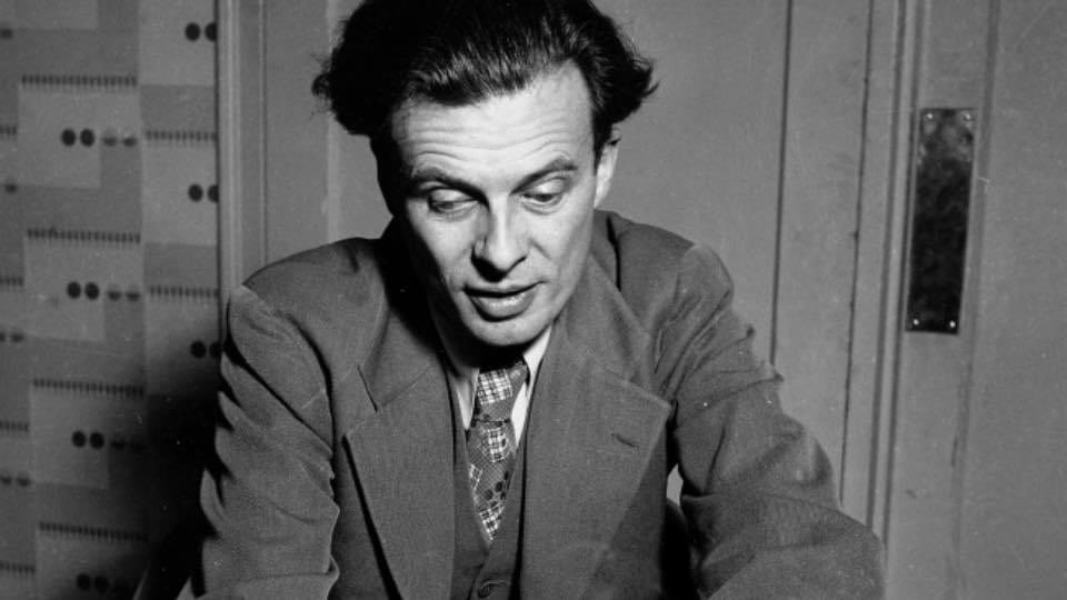 "Don't try to behave as though you were essentially sane and naturally good. We're all demented sinners in the same cosmic boat - and the boat is perpetually sinking."

—Aldous Huxley