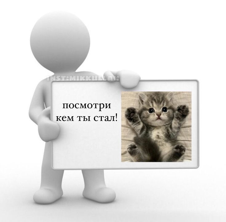 human!Звёздный экспресс. (@sunshines72481) on Twitter photo 