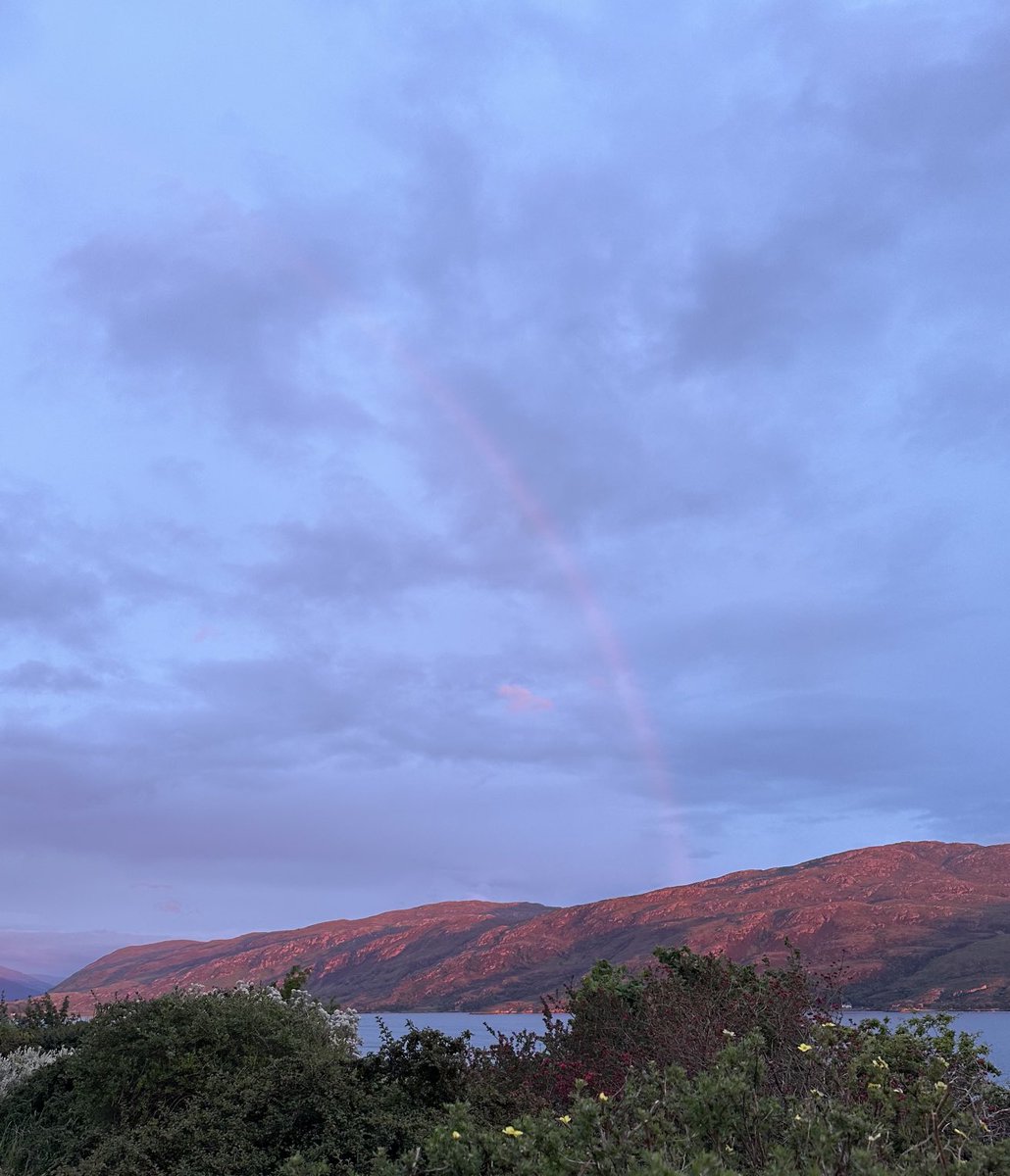 Mary 🦉🦋🐝🌻 tweet media