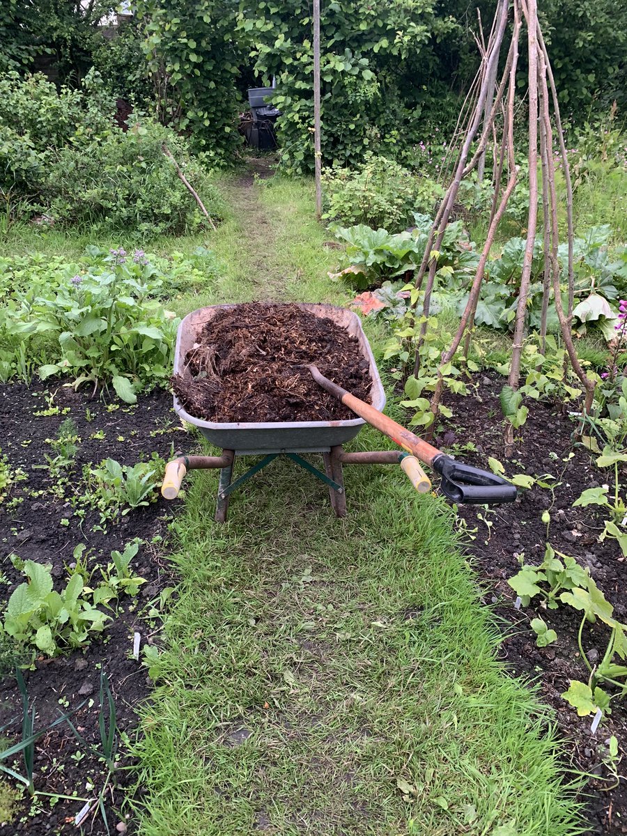 A Stairmand-Jackson tweet media