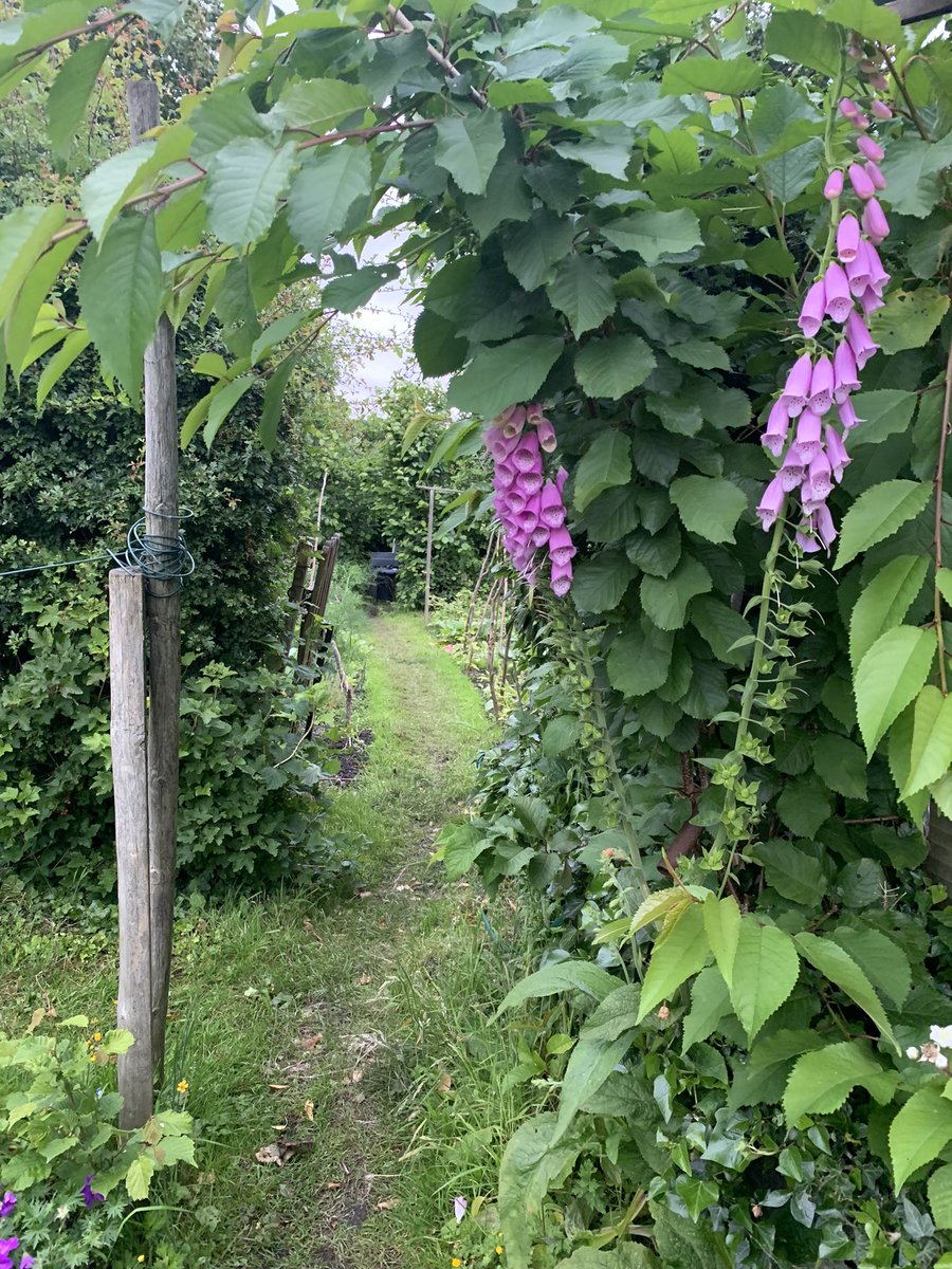 A Stairmand-Jackson tweet media